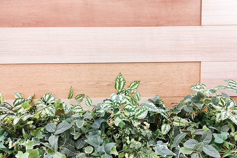 環境にやさしい選択肢